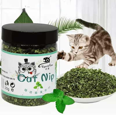 Inspire Curations Organic Mint Catnip Toy For Cats & Kittens Natural Interactive Chew & Play Toy 20g