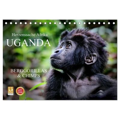 UGANDA - Berggorillas & Chimps (Tischkalender 2026 DIN A5 quer), CALVENDO Monatskalender
