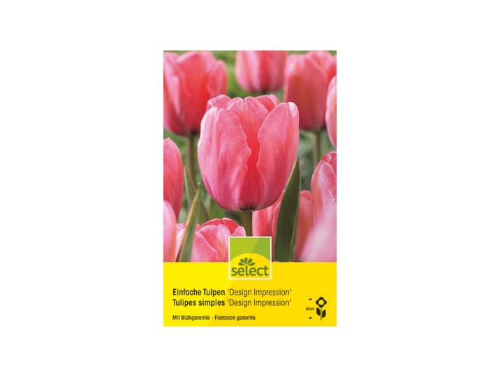 Select Einfache Tulpen Design Impression