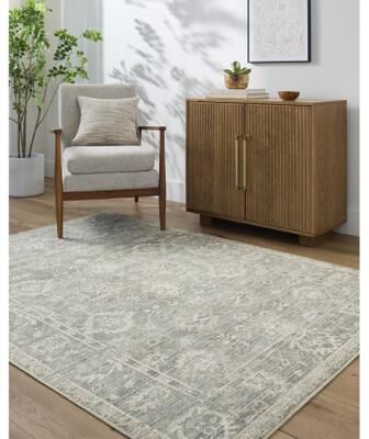 Galey Alix x Livabliss Collins Avenue II Vintage Oushak Area Rug