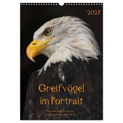 Greifvögel im Portrait (Wandkalender 2027 DIN A3 hoch), CALVENDO Monatskalender