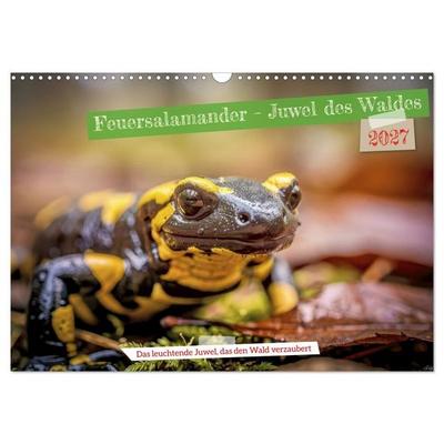 Feuersalamander – Juwel des Waldes (Wandkalender 2027 DIN A3 quer), CALVENDO Monatskalender