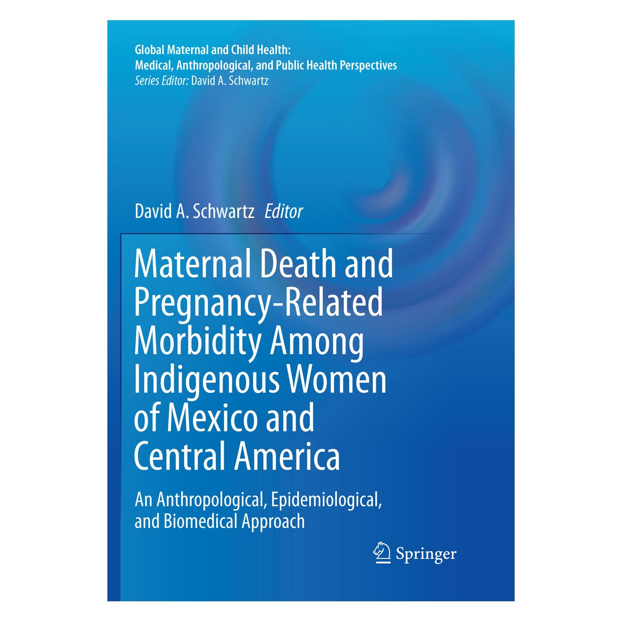 Springer Maternal Death and Pregnancy-Related Morbidity Among Indigenous Women of Mexico and Central America (Englisch, Softcover, David A. Schwartz) (56074670)