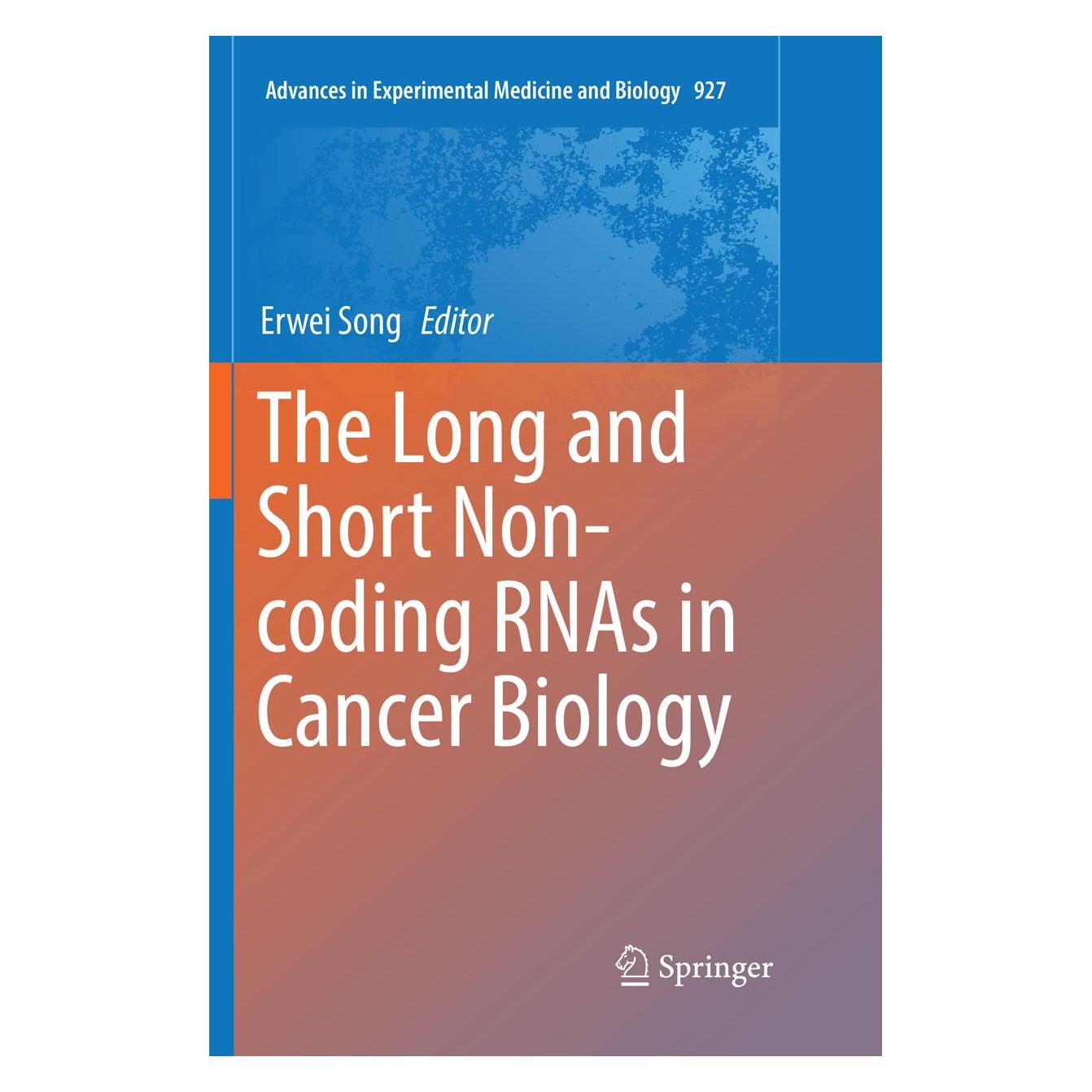Springer The Long and Short Non-coding RNAs in Cancer Biology (Englisch, Softcover, Erwei Song) (54572253)