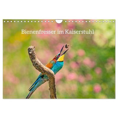 Bienenfresser im Kaiserstuhl (Wandkalender 2027 DIN A4 quer), CALVENDO Monatskalender