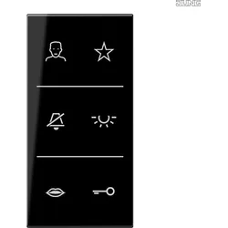 Jung Design-Cover Video Symbole bruchs SI V6 LS DC SW