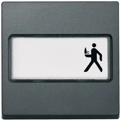 Merten 433314 Wippe mit Schriftfeld, anthrazit, System M