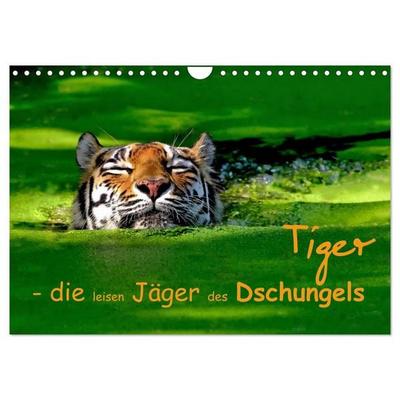 Tiger - die leisen Jäger des Dschungels (Wandkalender 2026 DIN A4 quer), CALVENDO Monatskalender