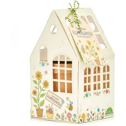 Gewächshäuschen-Set Sonnenblumen - Anzuchtset mit Deko-Gartenhäuschen, Pflanzgefäss, Substrat, Bio-Saatgut & Anleitung - Für Kinder & Erwachsene