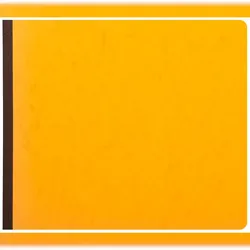Exacompta 16240E Geschaeftsbuch 27x32 80S - 24 Spalten - Farben sortiert