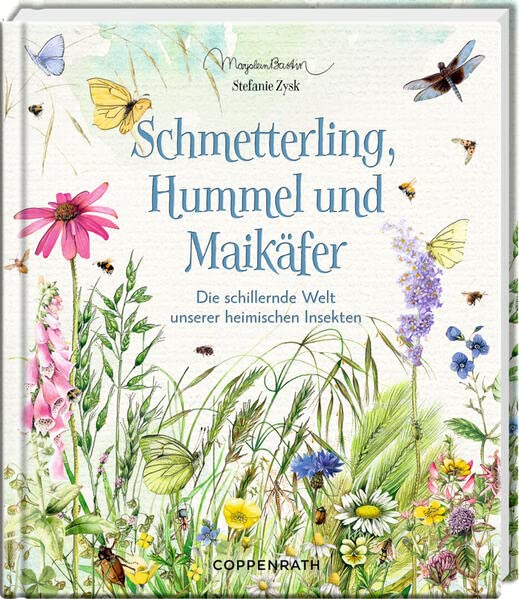 Stefanie Zysk - Schmetterling, Hummel und Maikäfer: Die schillernde Welt unserer heimischen Insekten (Inspirationen) - Preis vom 09.10.2026 07:28:09 h