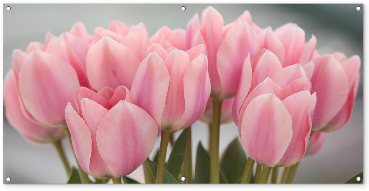 Tuindecoratie Tuinposter Close-up van roze tulpenbladeren B: 160 cm, H: 80 cm