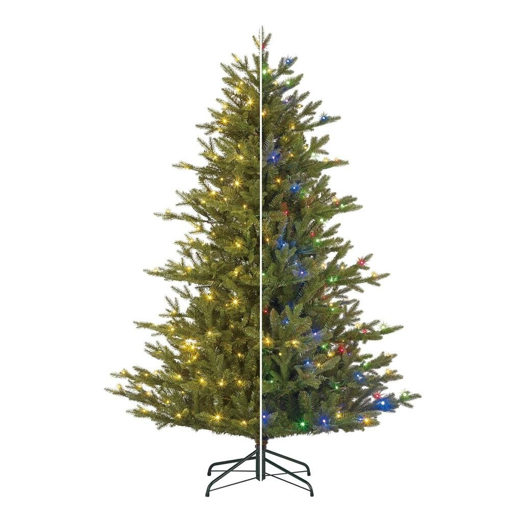 Black Box Kunstkerstboom Macallan LED 185 cm