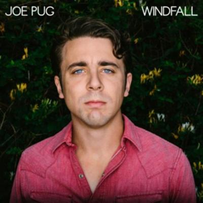 Windfall - Joe Pug, Vinyl