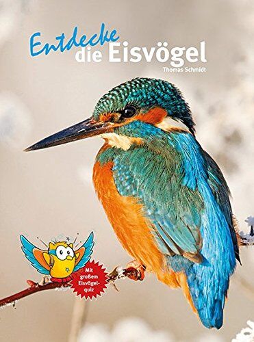Thomas Schmidt - Entdecke die Eisvögel (Entdecke - Die Reihe mit der Eule / Kindersachbuchreihe) - Preis vom 10.10.2026 11:48:34 h