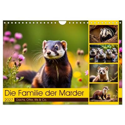 Die Familie der Marder (Wandkalender 2027 DIN A4 quer), CALVENDO Monatskalender