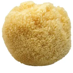 Koh-i-Noor Naturschwamm, Bad-Dusche, 13M,  13M