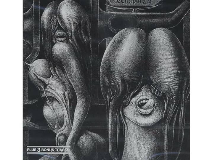 Walpurgis (Black)