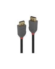 Lindy Anthra Line DisplayPort-Kabel DisplayPort M bis M 1.4 2 m rund Schwarz (36482)