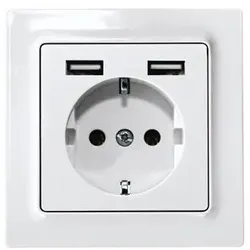 Eltako Deutsche Schutzkontakt DSS55E+2xUSBA-pg