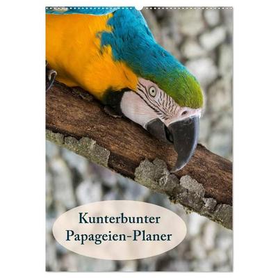 Kunterbunter Papageien-Planer (Wandkalender 2026 DIN A2 hoch), CALVENDO Monatskalender