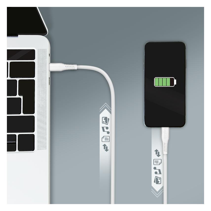 LogiLink USB C - USB C (2 m, USB 2.0, 60 W) (CU0264)