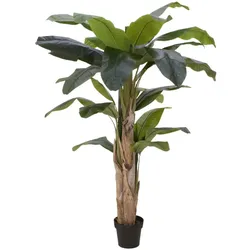 EUROPALMS Bananenbaum, Kunstpflanze, 170cm
