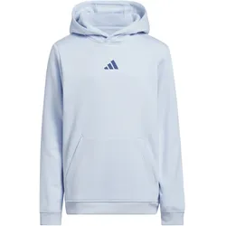 adidas Hoodie Uni Print, hellblau
