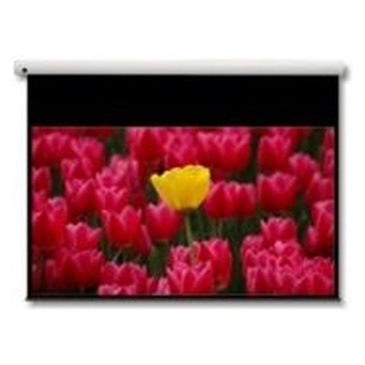 Optoma De-9106ega (106", 16:9) (DE-9106EGA)