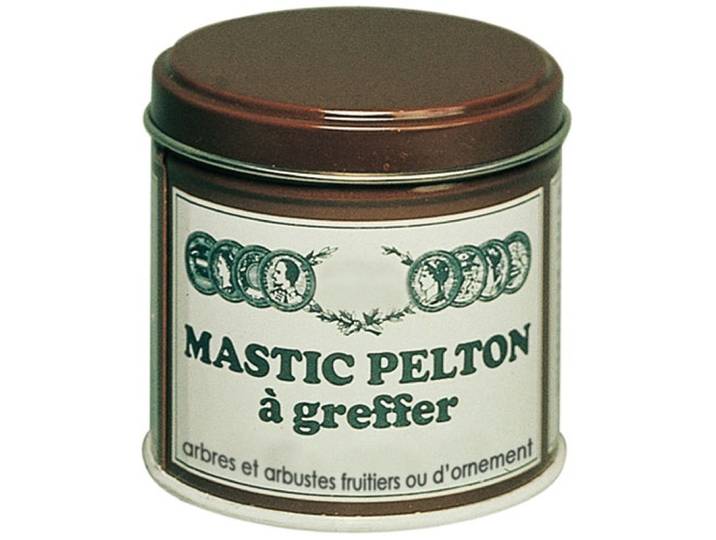 Mastic À Greffer 200g - Pelton