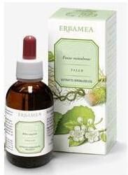 ERBAMEA Srl ARTIGLIO DEL DIAVOLO ESTR IAL