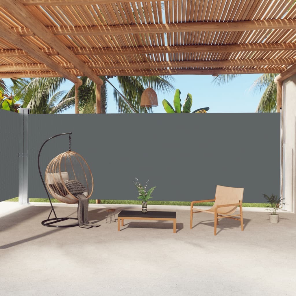 The Living Store Seitenmarkise Ausziehbar Anthrazit 220x1000 cm
