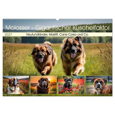 Molosser - Gigantischer Kuschelfaktor (Wandkalender 2027 DIN A2 quer), CALVENDO Monatskalender