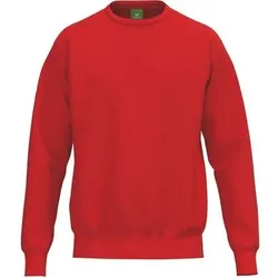 ERIMA TS Sweatshirt Unisex Erwachsene, Größe L in Rot Rot