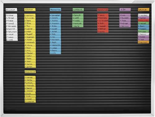 Magnetoplan Plantafel 1245003 Schwarz 1St.
