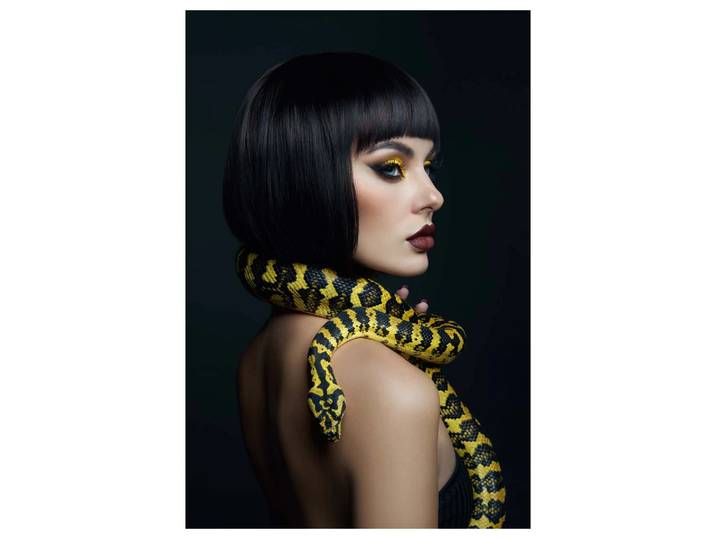 Canvas Frau mit Python image LAND