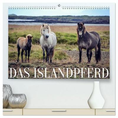 Das Islandpferd (hochwertiger Premium Wandkalender 2026 DIN A2 quer), Kunstdruck in Hochglanz