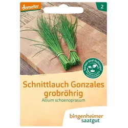 Schnittlauch grobröhrig - Gonzales