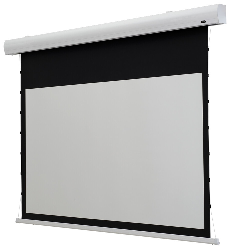 celexon Leinwand Motor Professional 240 x 180 cm 1000008934