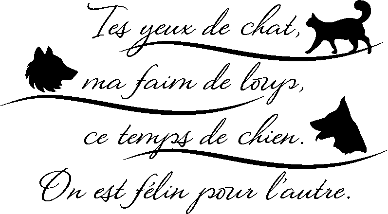 Ambiance-sticker Sticker citation On est félin pour l'autre ...