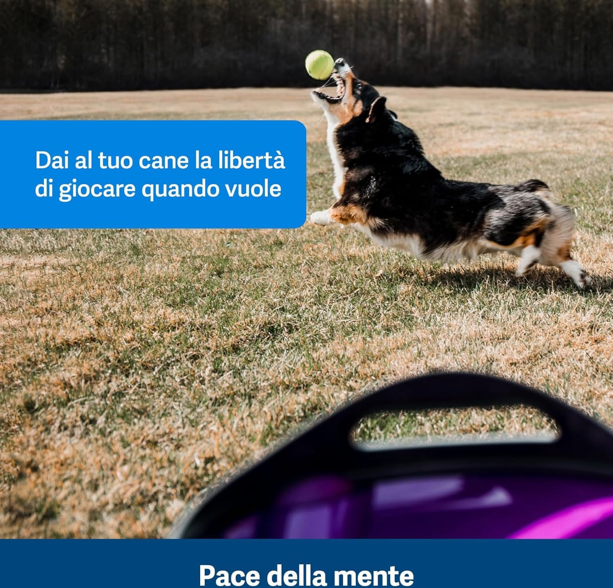 Petsafe Gioco Cane Lanciapalle Automatico 1 PZ