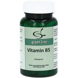 Vitamin B5 Kapseln 120 St
