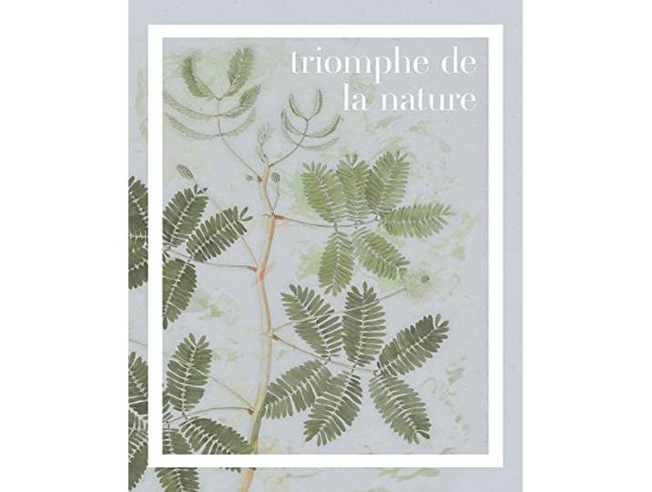Komar Wandbild - Triomphe de la nature - Größe: 40 x 50 cm - Poster, Kunstdruck, Dekoration, Wohnzimmer, Schlafzimmer