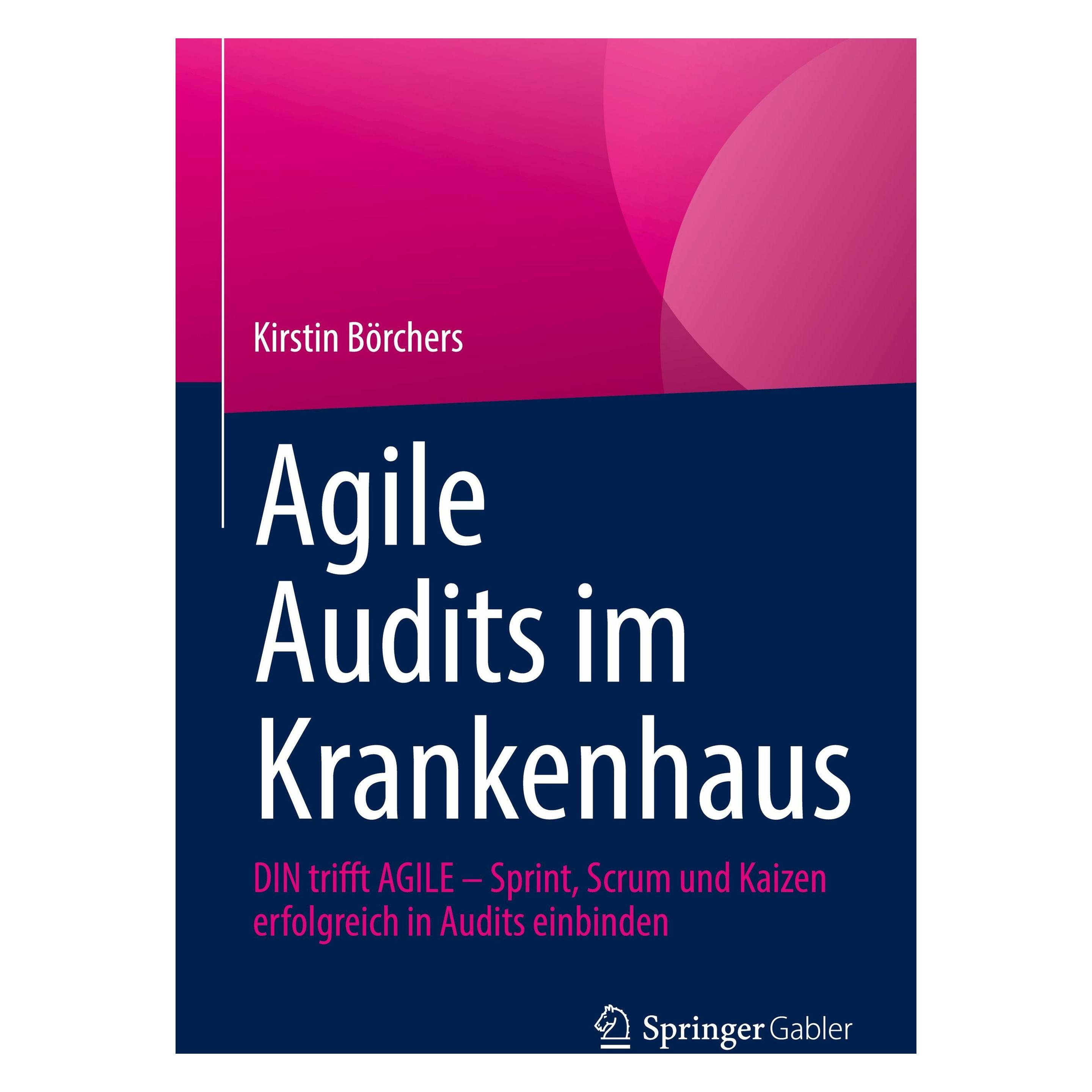Springer Agile Audits im Krankenhaus (Deutsch, Kirstin Börchers, 2024) (9783658443382)