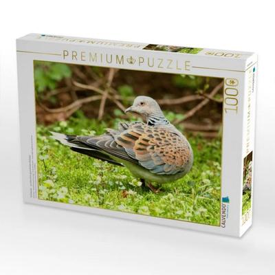 CALVENDO Puzzle Turteltaube - wunderschön gezeichnetes Gefieder | 1000 Teile Lege-Größe 64x48cm Foto-Puzzle für glückliche Stunden