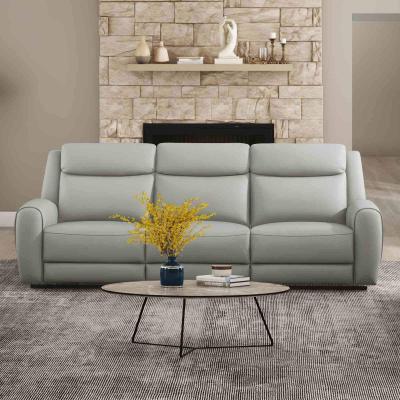 Esofastore Transitional 1pc Light Gray Finish Contour Arm Recliner Sofa