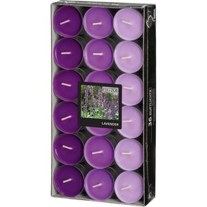 Gala Duftkerzen Flavour 030685593, Lavender, Duft-Teelichter, blumig, 36 Stück