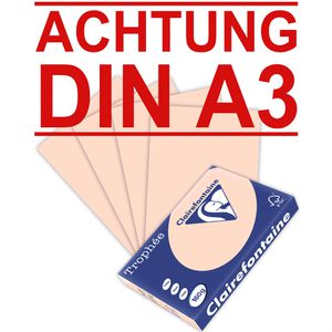 Clairefontaine Kopierpapier Trophée 1031RC, A3, 160g/qm, lachsfarben, 250 Blatt