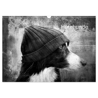 Hütehunde (Wandkalender 2026 DIN A3 quer), CALVENDO Monatskalender