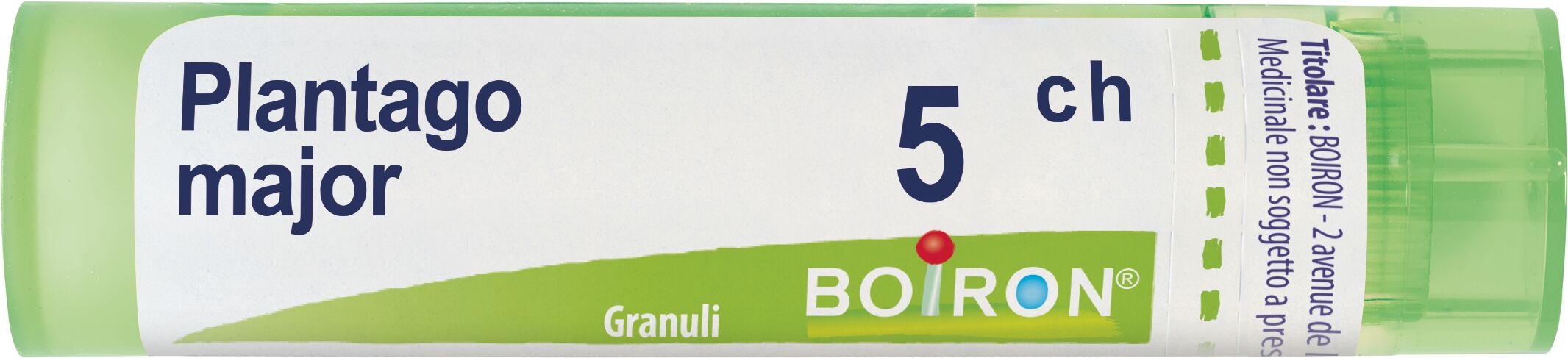 Plantago Major 5ch Granuli Multidose Boiron